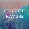 Peaceful Nature: Meditation Mood, Relaxation Noise, Mother Nature, Spiritual Journey, Relaxing Muisc, Tranquility and Serenity album lyrics, reviews, download