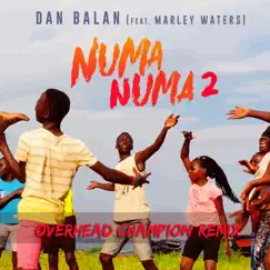Numa Numa 2 (Overhead Champion Remix) - Single by Dan Balan album reviews, ratings, credits