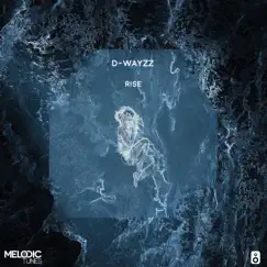Rise - Single by D-WAYZZ album reviews, ratings, credits