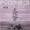 Promises (Extended Mix) - Single album lyrics, reviews, download