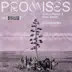 Promises (Extended Mix) - Single album cover