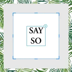 Say So (feat. Brandi Janai & Enkore) Song Lyrics