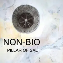 Pillar of Salt - EP by Non-Bio album reviews, ratings, credits