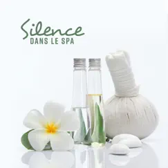 Silence dans le spa – Instrumental pour spa & massage, Sons de la nature, Plein repos, Première fois, Bonne humeur, Bien-être by Ensemble de Musique Zen Relaxante album reviews, ratings, credits