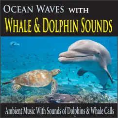 Ocean Wave Whales Under the Pacific Blue Song Lyrics