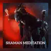 Shaman Meditation - Meet Your Inner Shaman and Animal Totem, Deep Trance Meditation with Native American Flute & African Drums album lyrics, reviews, download