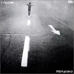 Trespassing - Single by T-Falcon album reviews, ratings, credits