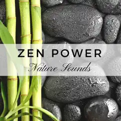 Zen Power: Calming New Age Music for Yoga, Pilates and Tai-Chi, Nature Sounds, Oriental Flute, Forest, Water by Silver Collection Pregnancy album reviews, ratings, credits