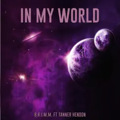 In My World (feat. Tanner Hendon) Song Lyrics