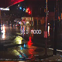 Big Mood - Single by Pat Magnetic & Birdzai album reviews, ratings, credits