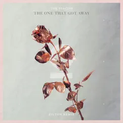 The One That Got Away (Pilton Remix) Song Lyrics