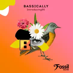 Introducing 05 - Single by Bassically album reviews, ratings, credits
