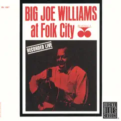 Big Joe Williams At Folk City (Live) [Remastered] by Big Joe Williams album reviews, ratings, credits