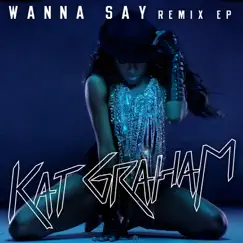 Wanna Say (Michael Carrera Remix) Song Lyrics