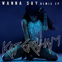 Wanna Say (Fred Falke Remix) Song Lyrics