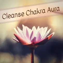 Cleanse Chakra Aura Song Lyrics