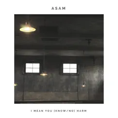 I Mean You Know/No Harm - Single by Asam album reviews, ratings, credits