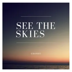 See the Skies Song Lyrics