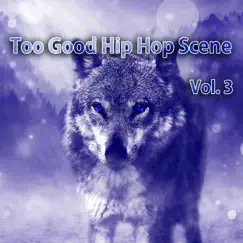 Who Stole the Show (Hip Hop Back Track Instrumental Collection Mix) Song Lyrics
