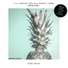 I'll House You All Night Long (Remixes) album lyrics, reviews, download