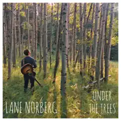 Under the Trees - EP by Lane Norberg album reviews, ratings, credits