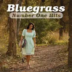Bluegrass Number One Hits by Various Artists album reviews, ratings, credits