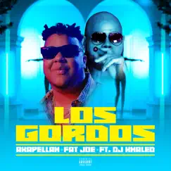 Los Gordos (feat. DJ Khaled) - Single by Akapellah & Fat Joe album reviews, ratings, credits