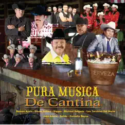Pura Música de Cantina by Vários Artistas album reviews, ratings, credits