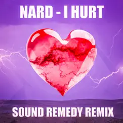 I Hurt (Sound Remedy Remix) - Single by Nard & Sound Remedy album reviews, ratings, credits