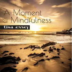 A Moment of Mindfulness by Lisa Enney album reviews, ratings, credits