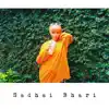 Sadhai Bhari - Single album lyrics, reviews, download