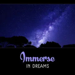 Immerse in Dreams: 50 Music for Sleep Soundly, Treat Insomnia, Aromatherapy Session, Stress Relief by Deep Sleep Sanctuary album reviews, ratings, credits