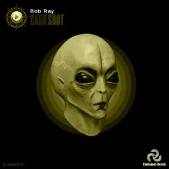 Dark Shot - Single by Bob Ray album reviews, ratings, credits