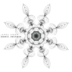Sonic Incense (20 Minute Edit) - EP by James Hood album reviews, ratings, credits