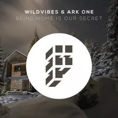 Being Home Is Our Secret - Single by WildVibes & Ark One album reviews, ratings, credits