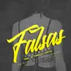 Falsas Palabras (feat. Mr Music) - Single album lyrics, reviews, download