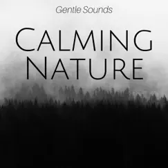 Calming Nature: Gentle Sounds of Wind & Rain for Deep Sleep, Relaxing Nature Sounds for Positive Energy, Meditation & Yoga by Ryan Sound & Meditation Relaxation Club album reviews, ratings, credits