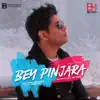 Bey Pinjara - Single album lyrics, reviews, download