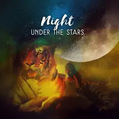 Night Under the Stars by Interstellar Meditation Music Zone album reviews, ratings, credits