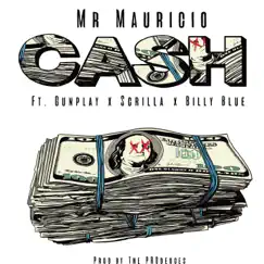 Cash (feat. Gunplay, Scrilla & Billy Blue) - Single by Mr. Mauricio album reviews, ratings, credits