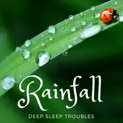 Rainfall: Collection of Soundscapes and Tranquil Nature Sounds for Sleep, Deep Sleep Troubles, Flute Soundscapes by Martin Mind album reviews, ratings, credits