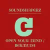 Open Your Mind / Bermuda - Single album lyrics, reviews, download
