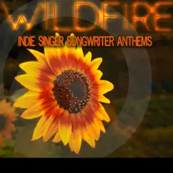 Wildfire: Indie Singer Songwriter Anthems by Hannah Miller & Ehren Ebbage album reviews, ratings, credits