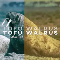 Always Tired - Single by Tofu Walrus album reviews, ratings, credits