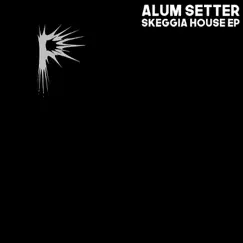 Skeggia House - Single by Alum Setter album reviews, ratings, credits