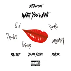 What You Want (feat. Rau Def & Young Yujiro) Song Lyrics