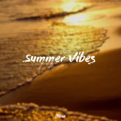 Summer Vibes - Single by Melker Asp album reviews, ratings, credits