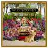Wild Thoughts (feat. Rihanna & Bryson Tiller) [Mike Cruz Dance Remix] - Single album lyrics, reviews, download