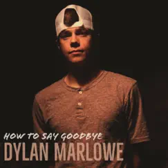 How to Say Goodbye Song Lyrics