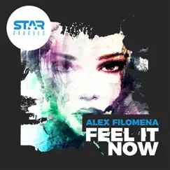 Feel It Now (Fast Mover Remix) Song Lyrics
